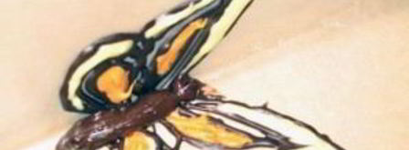 десерт для любимых. Шаг 7