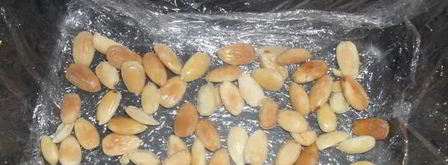 французский шоколадный террин с бананом и клюквой. Шаг 15