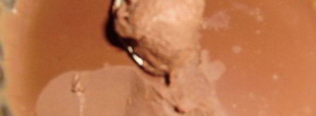 домашние конфеты. Шаг 4