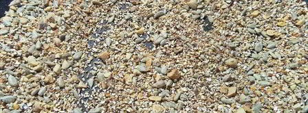 конфеты вкусные и полезные. Шаг 3