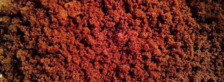 ромовые конфеты извините, детки. Шаг 3