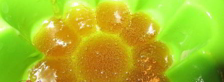 десерт крем-карамель. Шаг 5