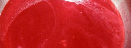 крем-брюле с малиново-клубничным соусом. Шаг 11