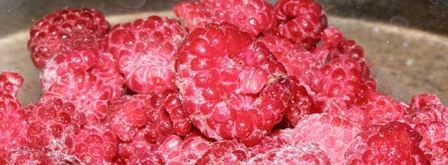 крем-брюле с малиново-клубничным соусом. Шаг 8