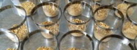 лимонный крем со сгущенкой. Шаг 3