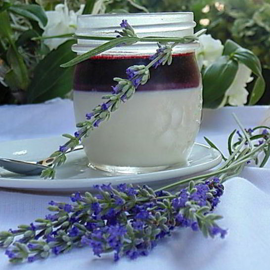 Рецепт лавандовой панны-котты с черничным соусом