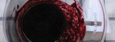 лавандовая панна-котта с черничным соусом. Шаг 2