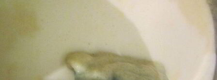 лимонный пудинг. Шаг 5