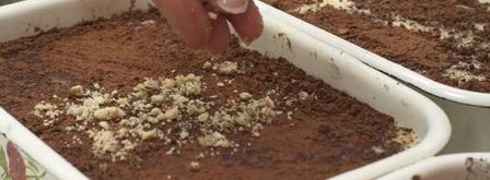 молочный пудинг. Шаг 16