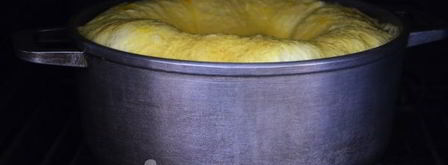 молозиво запеченное. Шаг 9