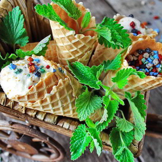 Рецепт домашнего мороженого из йогурта