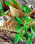 Домашнее мороженое из йогурта