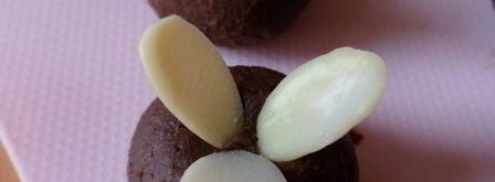 мангово-черничное мороженое с конфетами рафаэлло с шоколадными шариками. Шаг 11