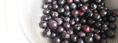 мороженое из гречки. Шаг 8