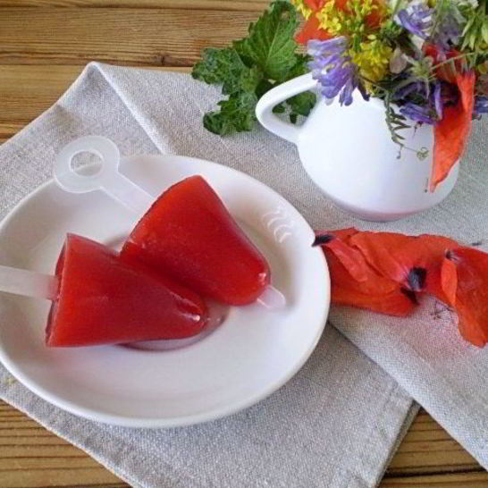 Рецепт мороженого из сока