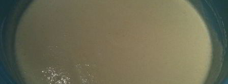 мороженое с лимонным соком. Шаг 8