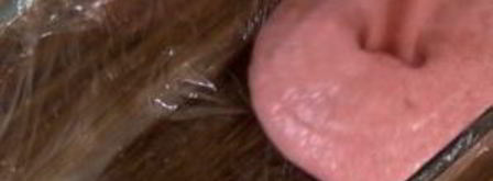 мороженое семифредо с клубникой. Шаг 4