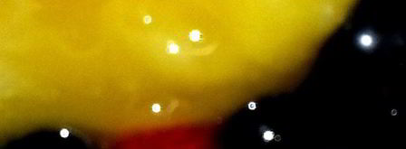 мороженое в ягодном раю. Шаг 6