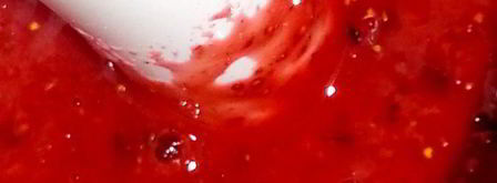 мороженое в ягодном раю. Шаг 7