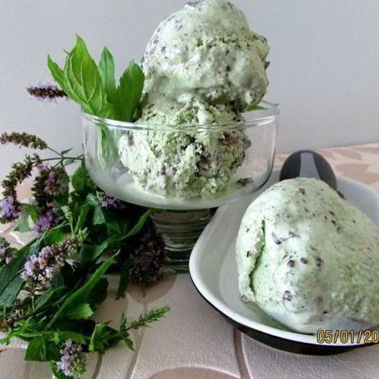 Рецепт мятного мороженого с кусочками шоколада