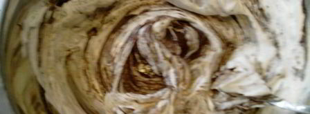 шоколадно-кофейное мороженое. Шаг 12