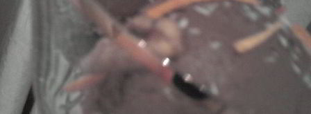 шоколадно-кофейное мороженое. Шаг 17