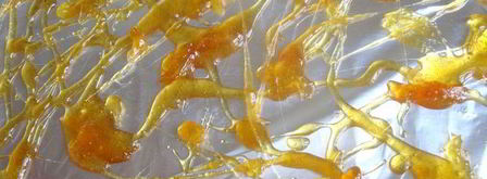 ванильное мороженое и груша-пашот сладкая парочка. Шаг 6