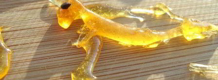 ванильное мороженое и груша-пашот сладкая парочка. Шаг 7