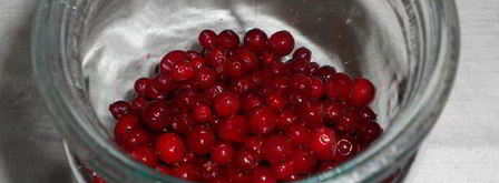 брусничный мусс. Шаг 4