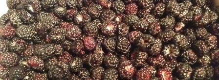 мусс из ежевики. Шаг 3