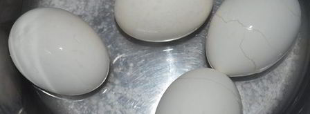 праздничный цукотто из форели с нежнейшим креветочным муссом, огурцом и сливочным кремом. Шаг 5