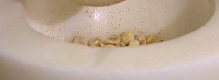 шоколадный мусс с фундуком. Шаг 5