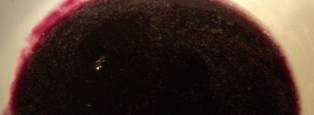 шоколадный рулет с черничным муссом. Шаг 7