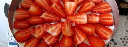 торт-мусс клубника с шампанским. Шаг 21