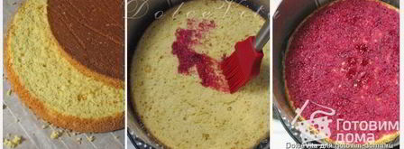 торт-мусс с черной смородиной. Шаг 13