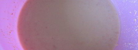 австрийский пасхальный райндлинг. Шаг 2