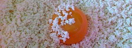 медовая пасха с лимонными финиками. Шаг 5