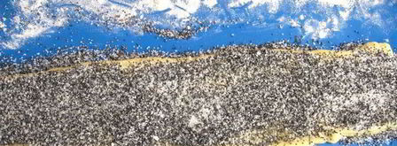 пасхальный барашек. Шаг 9