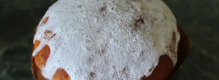 пасхальный кулич на сухих дрожжах в духовке. Шаг 16