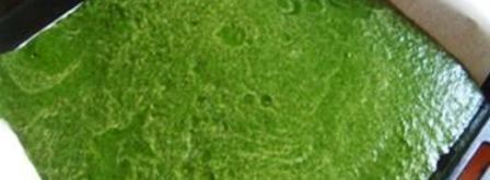 рыбный рулет-суфле со шпинатом. Шаг 3