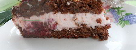 шоколадный кухэ с нежнейшим вишневым кремовым суфле. Шаг 11