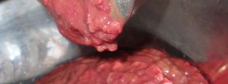 суфле из печени. Шаг 2