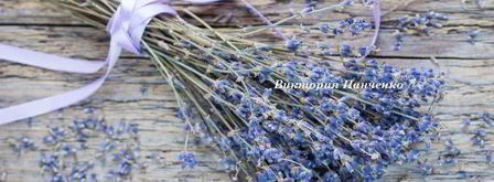 ванильный чиа-пудинг с черникой и лавандой. Шаг 4