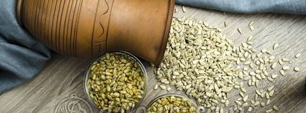 жареные семечки подсолнуха. Шаг 9