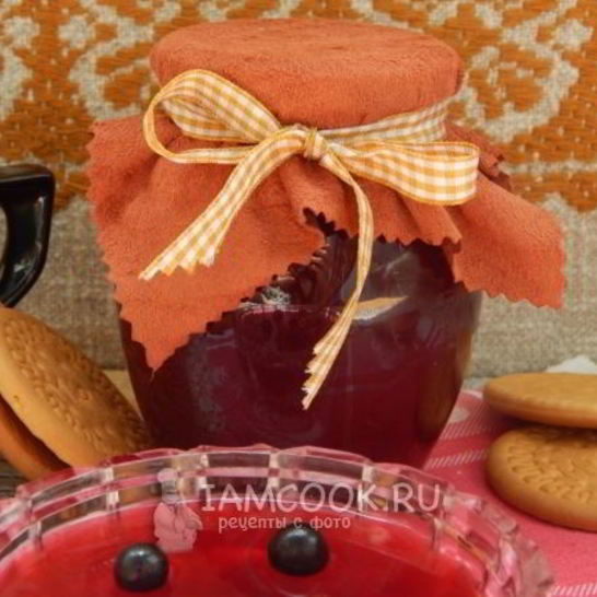 Рецепт желе из гибрида черной смородины