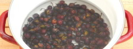 желе из гибрида черной смородины. Шаг 3