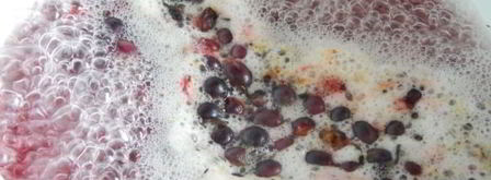 желе из гибрида черной смородины. Шаг 4