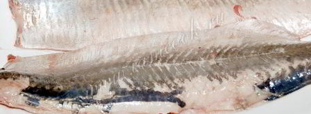 форшмак из сельди. Шаг 4