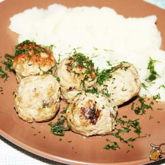 Рецепт фрикаделек из индейки