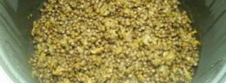 гарнир из чечевицы. Шаг 7